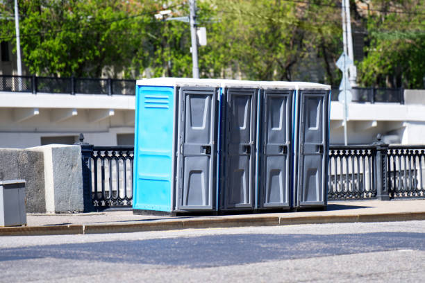 Best Sanitation services for porta potties  in Sconsin Dells, WI